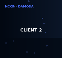 Client NCCR 2